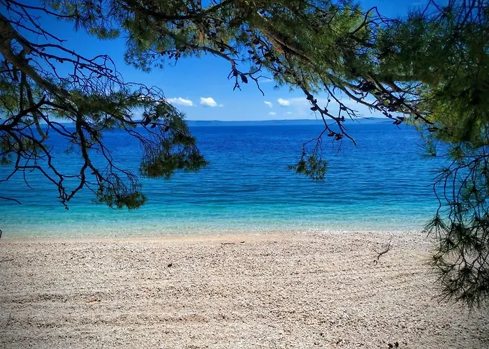 Asija Brela